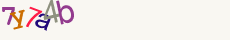 Security Code: