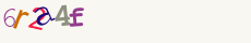 Security Code: