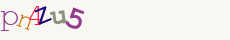 Security Code:
