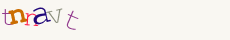 Security Code: