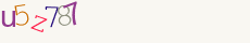 Security Code: